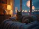white-noise-katzen-silvester-die-besten-tipps-fuer-eine-entspannte-katzen-silvesternacht